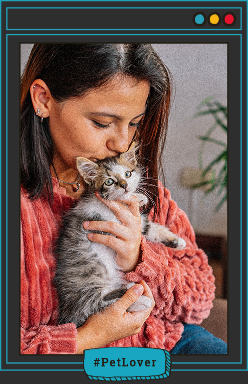 ingredientes del alimento para gatos cachorros